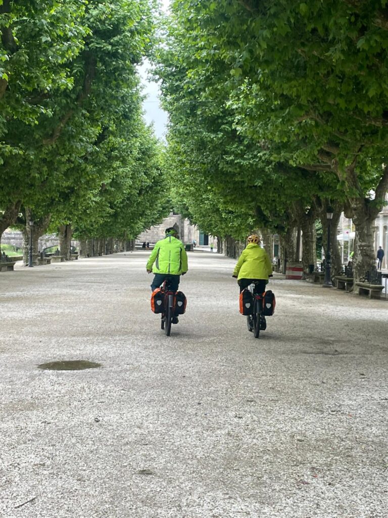 WhatsApp Image 2025-08-07 at 18.02