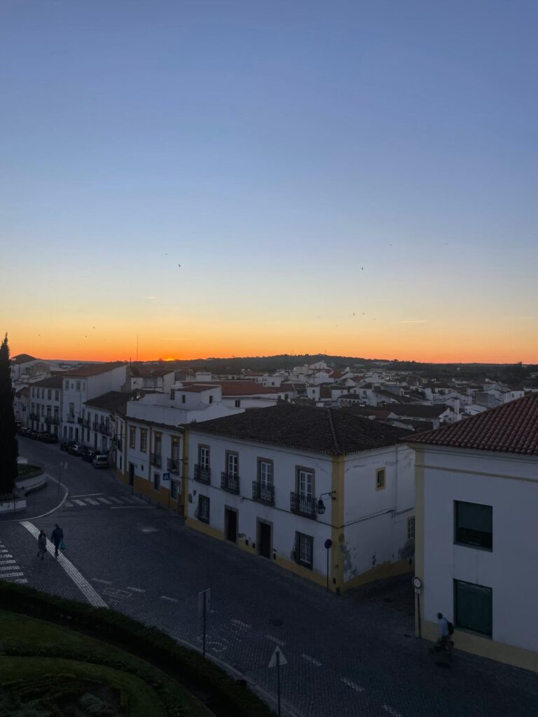 WhatsApp Image 2025-08-07 at 18.02