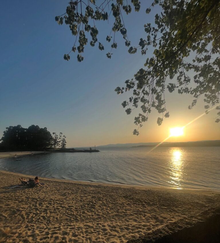 WhatsApp Image 2025-08-07 at 18.02