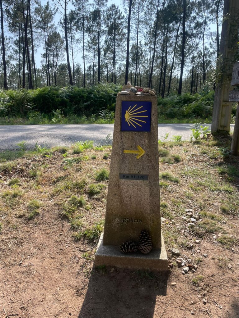 WhatsApp Image 2025-08-07 at 18.02