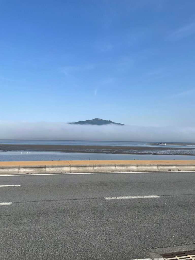 WhatsApp Image 2025-08-07 at 18.12