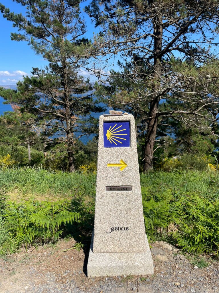 WhatsApp Image 2025-08-07 at 18.12